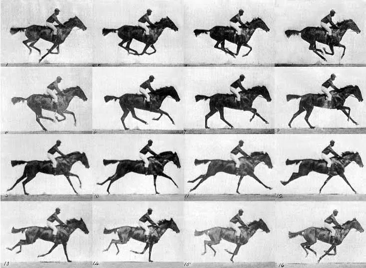 muybridge film